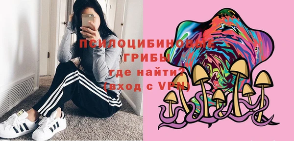 тгк Ростов